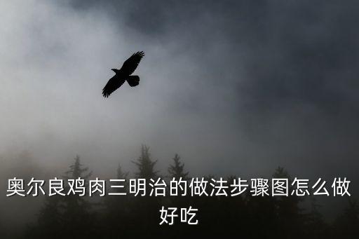 奧爾良雞肉三明治的做法步驟圖怎么做好吃