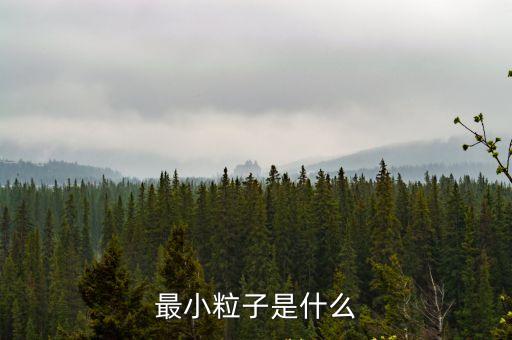 最小粒子是什么