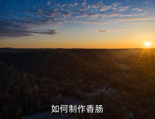 自制香腸，香腸制做方法