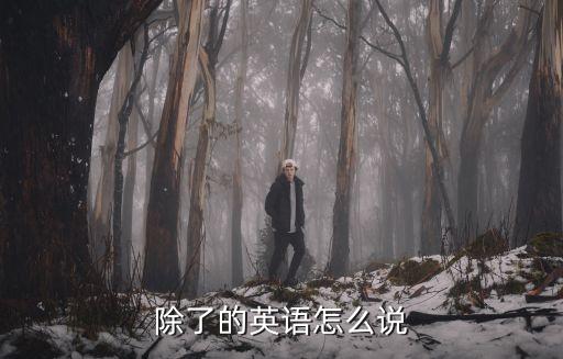 除了的英語怎么說
