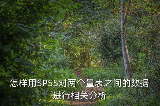 怎樣用SPSS對兩個量表之間的數(shù)據(jù)進(jìn)行相關(guān)分析