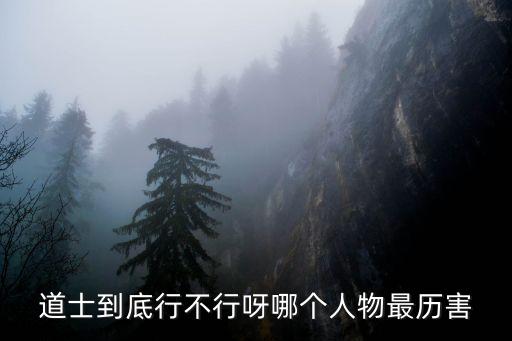 道士到底行不行呀哪個人物最歷害