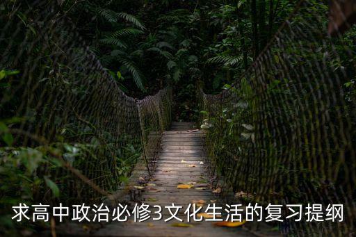 求高中政治必修3文化生活的復習提綱