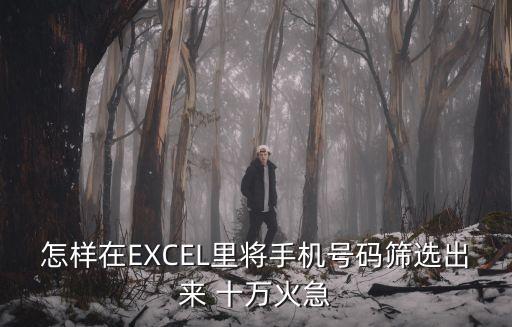 怎樣在EXCEL里將手機號碼篩選出來 十萬火急