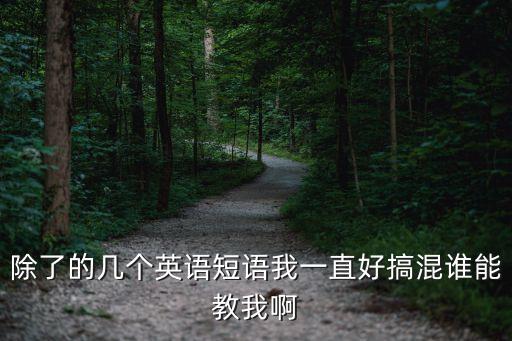 除了的幾個英語短語我一直好搞混誰能教我啊