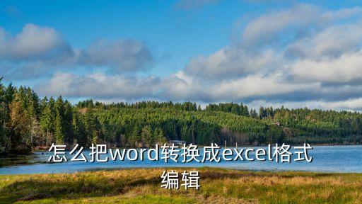 怎么把word轉換成excel格式編輯