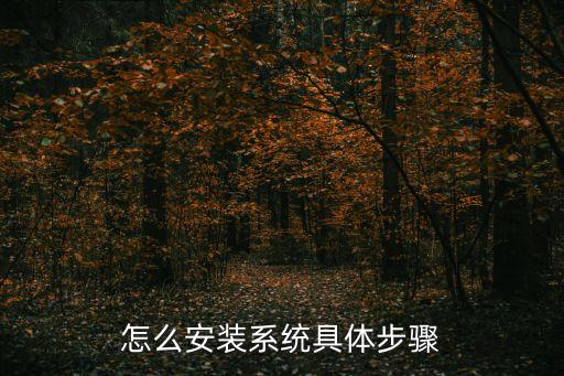 怎么安裝系統具體步驟