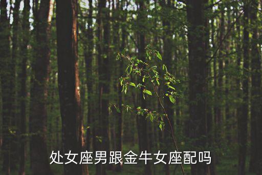 處女座男跟金牛女座配嗎