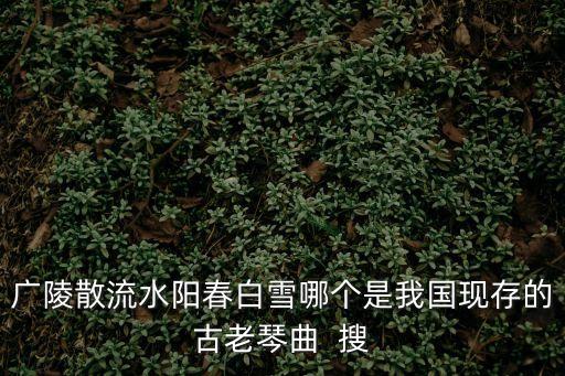 廣陵散流水陽春白雪哪個(gè)是我國現(xiàn)存的古老琴曲  搜