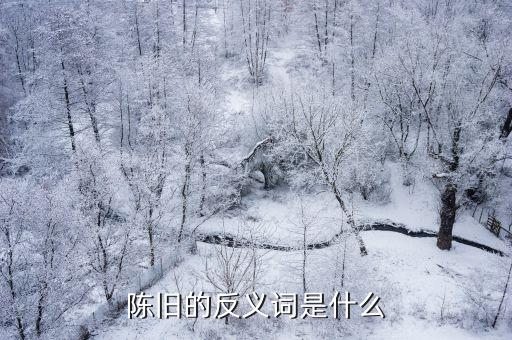 陳舊的反義詞，陳舊的反義詞有什么