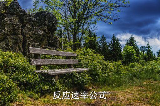 反應速率公式，反應速率公式