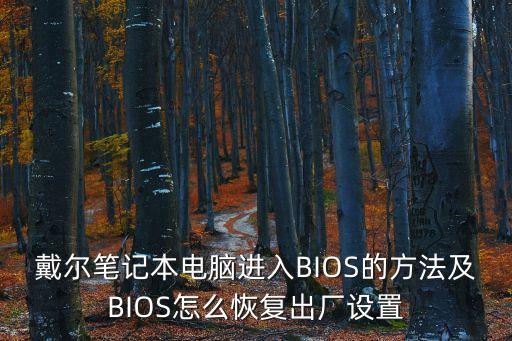 戴爾bios，戴爾筆記本電腦boot設置圖解