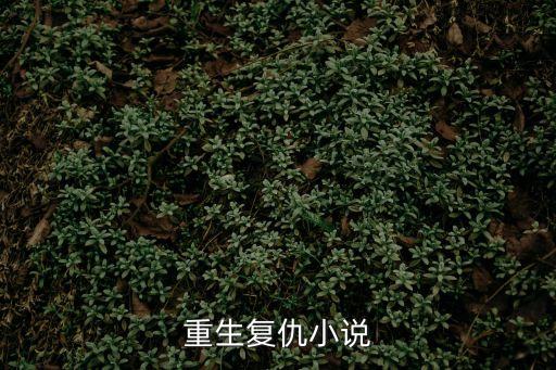 重生復(fù)仇小說