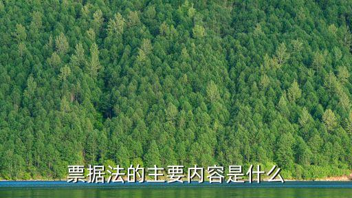 票據法的主要內容是什么
