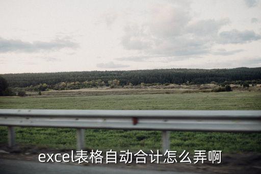 excel合計，EXCEL里怎樣合計