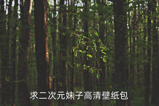求二次元妹子高清壁紙包