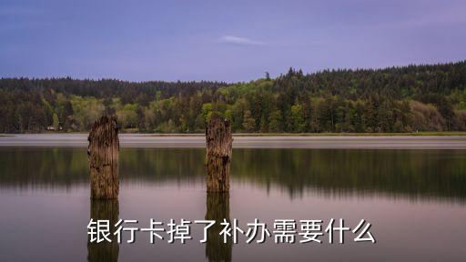 銀行卡掉了補辦需要什么