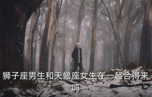 獅子座男生和天蝎座女生在一起合得來嗎