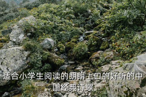 適合小學(xué)生閱讀的朗朗上口的好聽的中國經(jīng)典詩歌