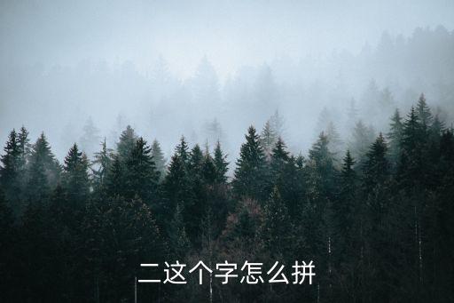 二這個(gè)字怎么拼