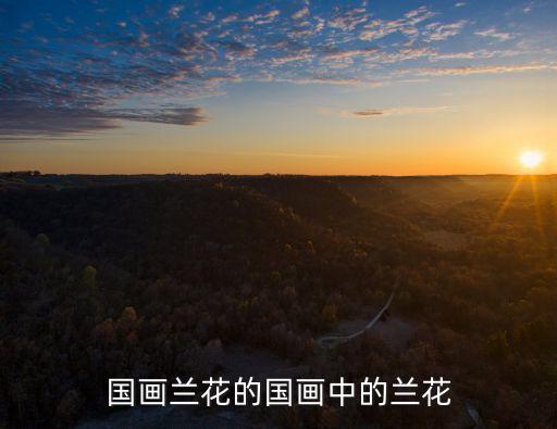 國畫蘭花的國畫中的蘭花