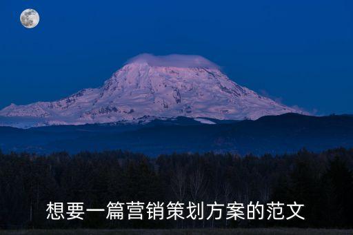 想要一篇營銷策劃方案的范文