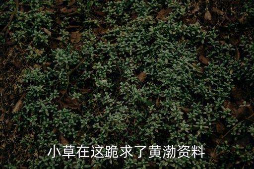 黃渤個人資料簡介，小草在這跪求了黃渤資料