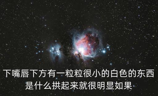 下嘴唇下方有一粒粒很小的白色的東西是什么拱起來就很明顯如果