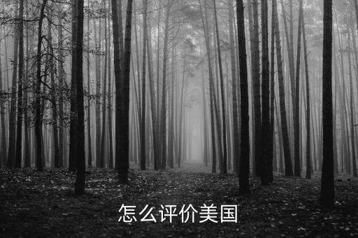 怎么評價美國