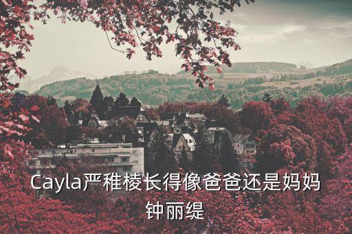 嚴(yán)稚棱，Cayla嚴(yán)稚棱長(zhǎng)得像爸爸還是媽媽鐘麗緹