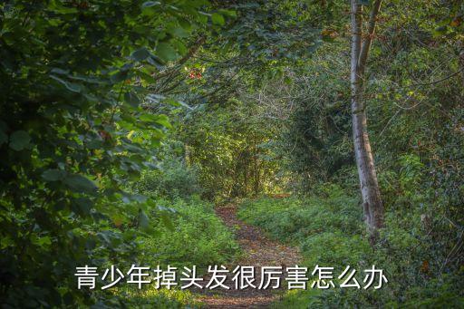 青少年掉頭發(fā)很厲害怎么辦