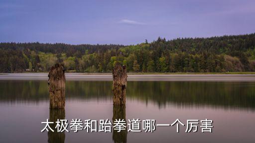 太極拳和跆拳道哪一個厲害
