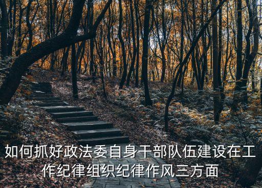 如何抓好政法委自身干部隊伍建設在工作紀律組織紀律作風三方面
