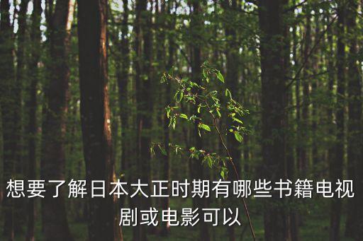 想要了解日本大正時期有哪些書籍電視劇或電影可以