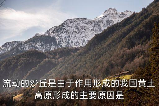 流動沙丘，如何判別流動沙丘和靜止沙丘