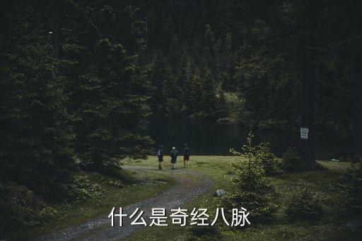 什么是奇經八脈