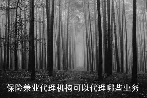 保險兼業代理機構可以代理哪些業務