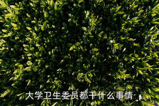 大學衛生委員都干什么事情