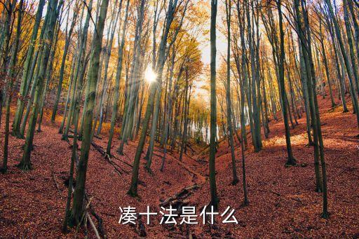 湊十法是什么