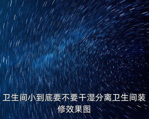 衛生間小到底要不要干濕分離衛生間裝修效果圖