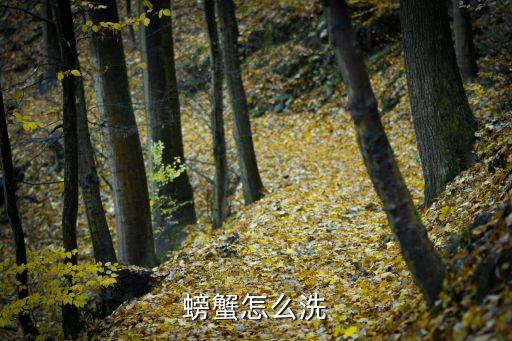 螃蟹怎么洗