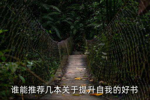 誰能推薦幾本關(guān)于提升自我的好書
