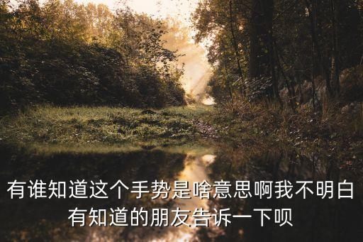 有誰知道這個手勢是啥意思啊我不明白有知道的朋友告訴一下唄