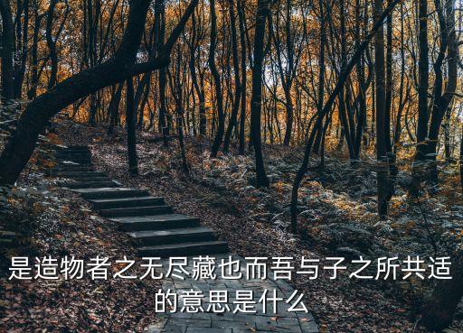 是造物者之無盡藏也而吾與子之所共適的意思是什么