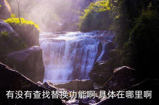 有沒有查找替換功能啊 具體在哪里啊