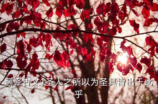 其皆出于此乎翻譯，其皆出于此乎