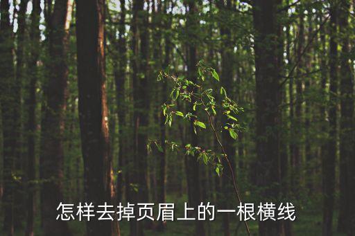 頁眉橫線怎么刪，怎樣去掉頁眉上的一根橫線