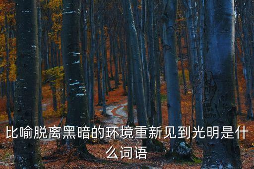 比喻脫離黑暗的環(huán)境重新見到光明是什么詞語