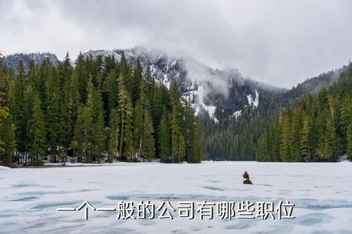 公司職位，公司有什么職位