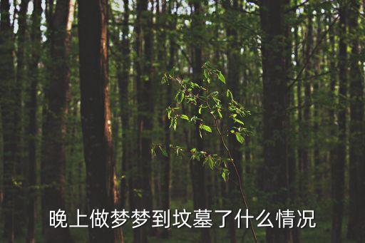 晚上做夢夢到墳?zāi)沽耸裁辞闆r